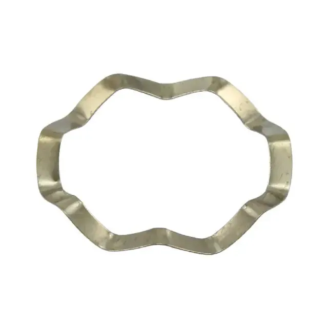 SPR-P18/11 (SPRING)
