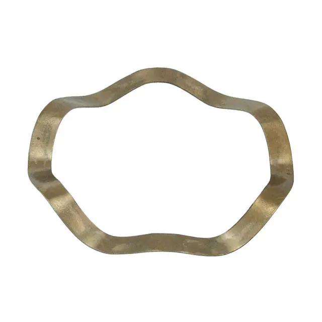 SPR-P30/19 (SPRING)
