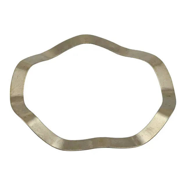 SPR-P36/22 (SPRING)