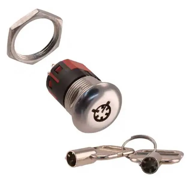 Y2011U2V203NQ (SWITCH KEYLOCK 2POS DPDT 4A 125V)